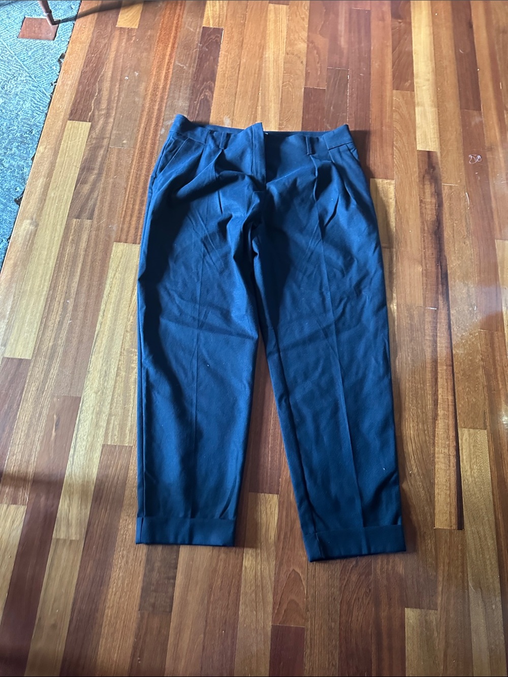 MangowomenNavy Pleated Tapered Pants